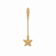 Star Charm